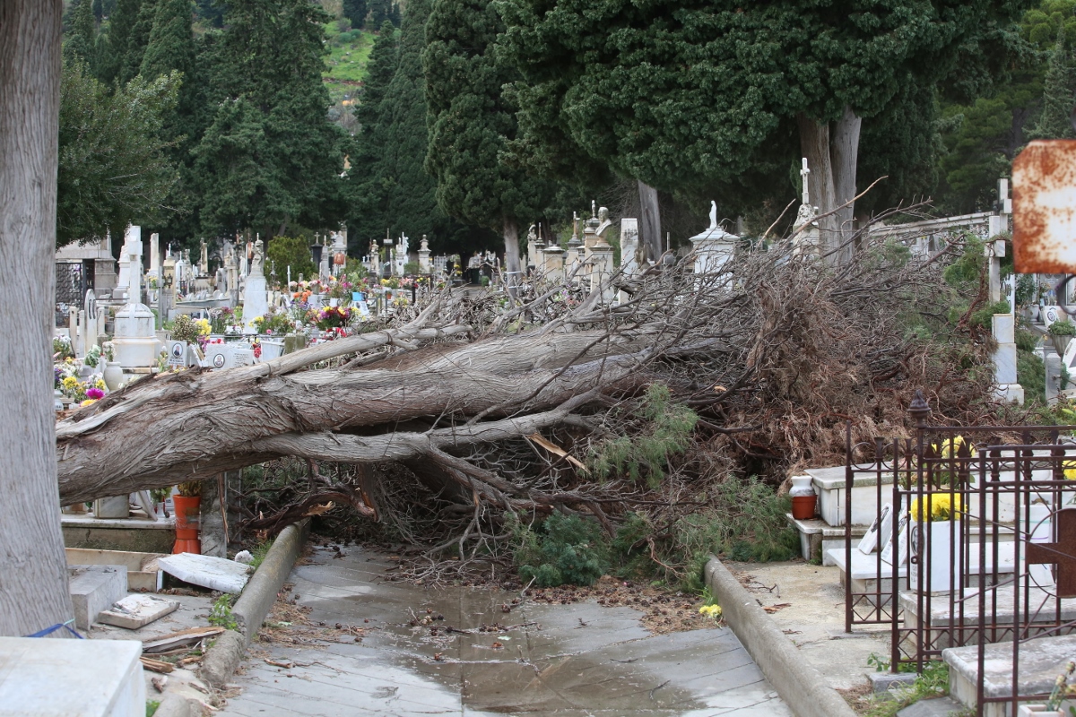 La festa dei vivi (che riflettono sulla morte)